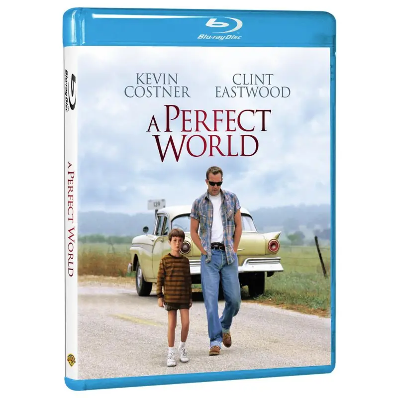 A Perfect World (Bd) 1