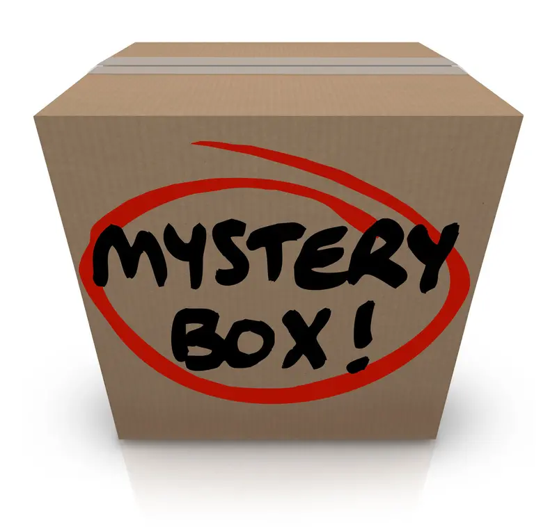 *Adam's $29.99 Interior Mystery Box* 2