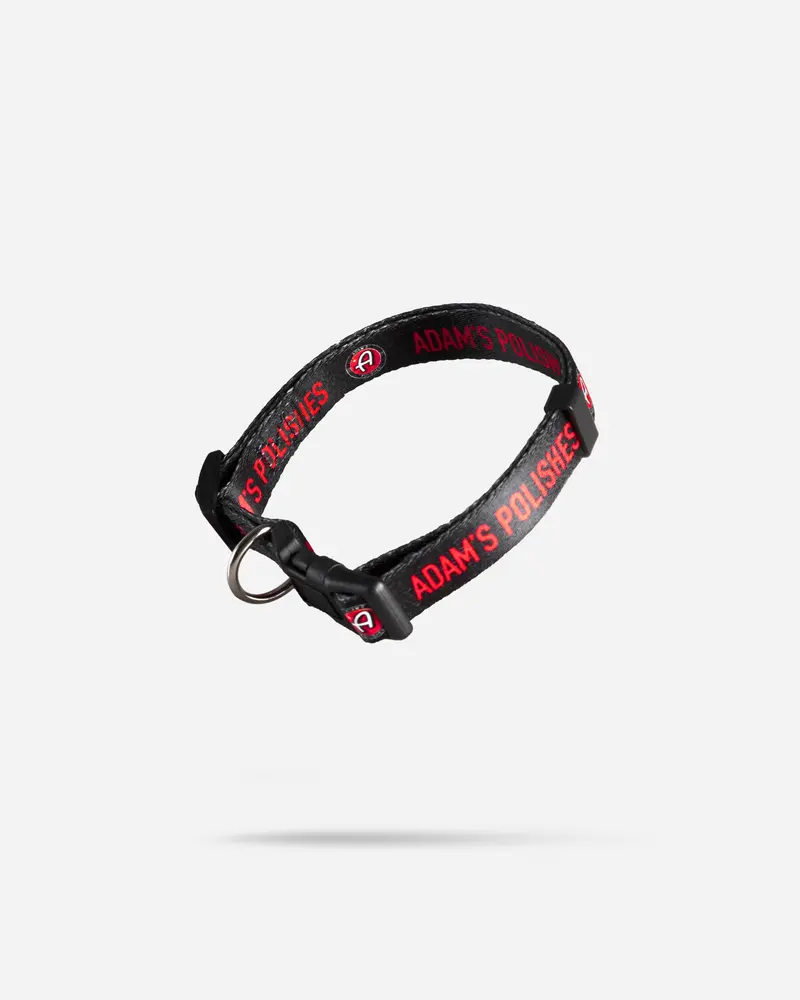 Adam's Dog Collar 1
