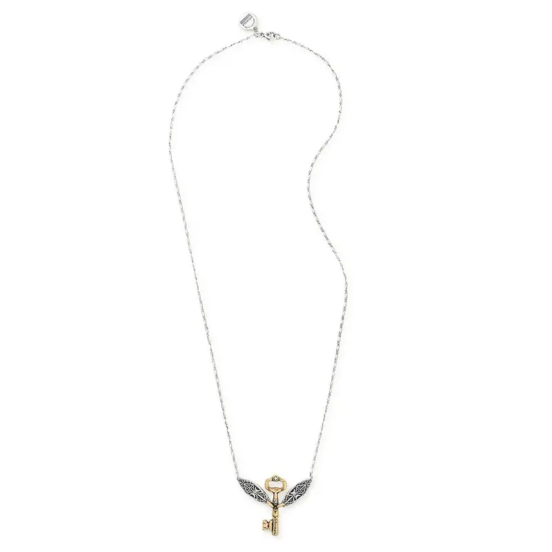 Alex And Ani Alohomora 20 Inch, Two-Tone Necklace 1