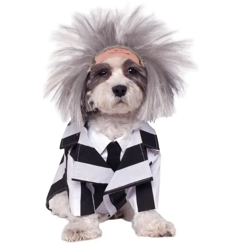 Beetlejuice Pet Costume 1