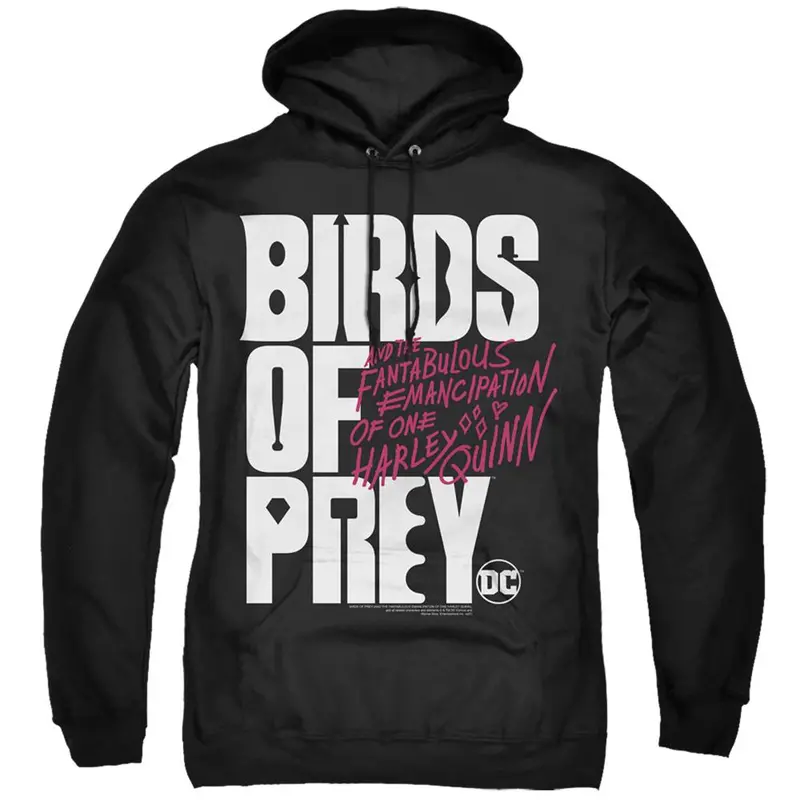 Birds Of Prey Logo Hoodie 1