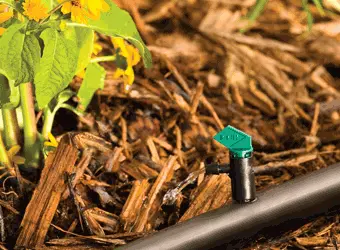 Dig - 2 Gph Flag Drip Emitter - 06-010 2