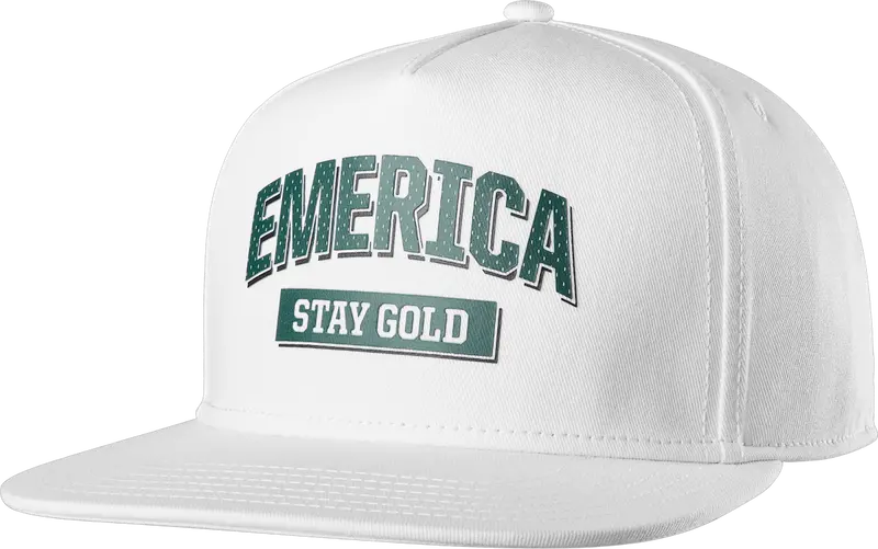 Emerica Team Stay Gold Snapback 1