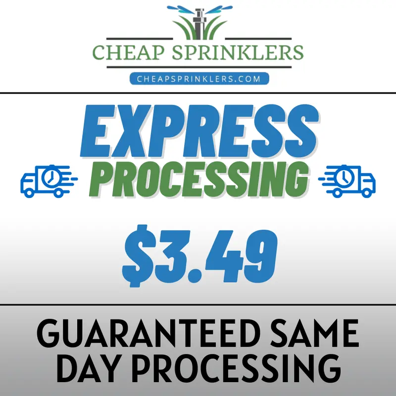 Express Processing - Jump The Line! 1