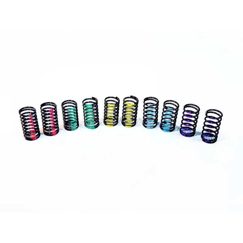 Gl Racing: Gla Long Rear Spring Set (Gla-004-L) 1