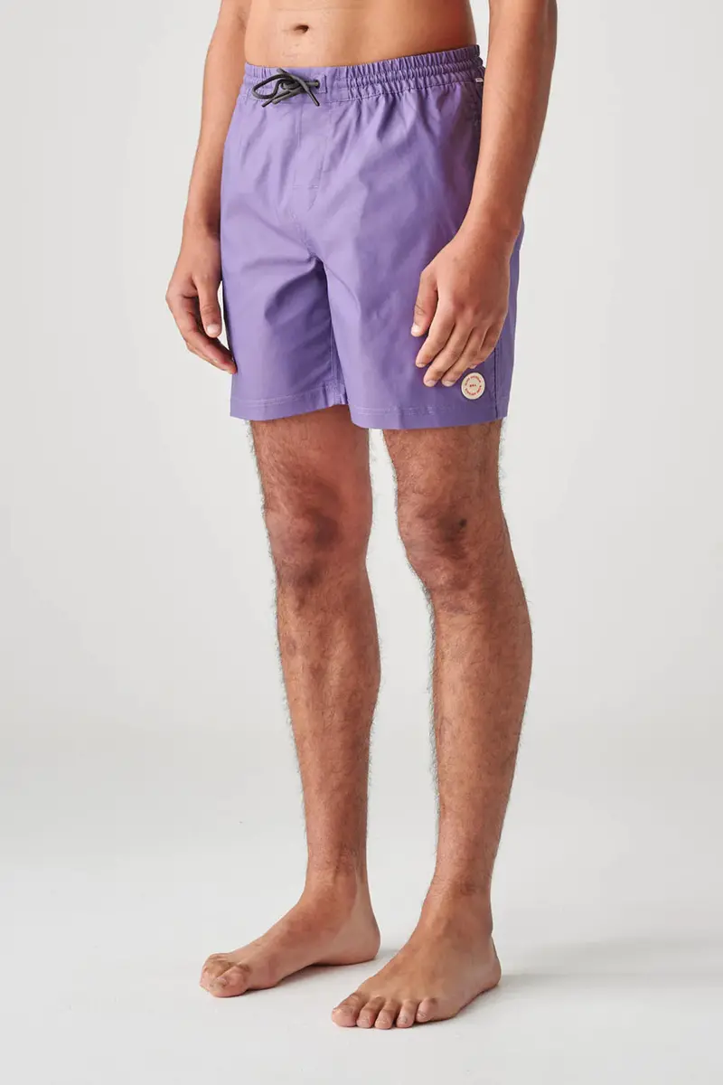 Globe Clean Swell Poolshort 1