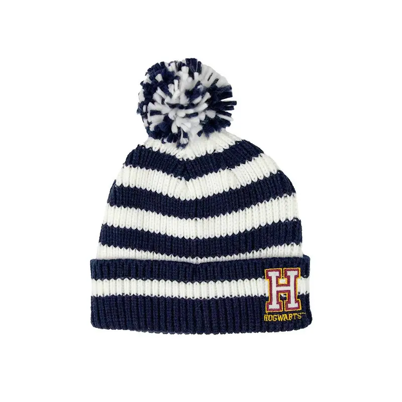 Harry Potter Hogwarts Chenille Striped Beanie 1