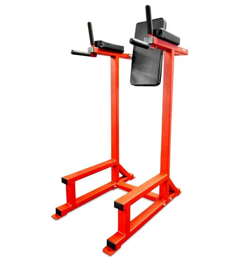 Knee Raise / Dip Station Usa 1