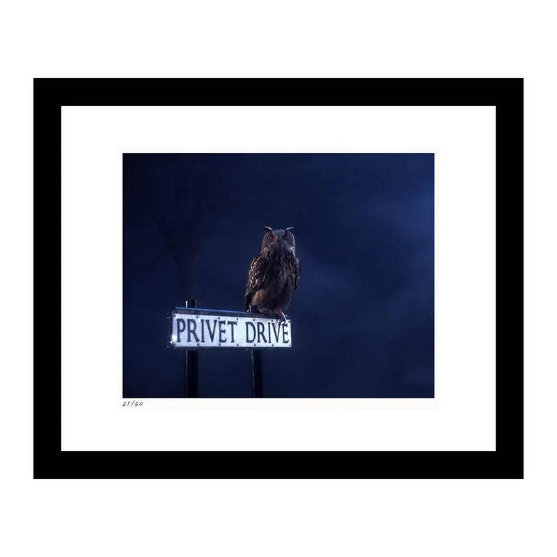 Privet Drive Framed Print From Harry Potter And The Sorcerer's Stone 1