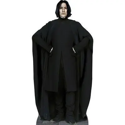 Professor Snape Standee 1