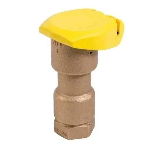 Rain Bird - 5Rc - 1'' Quick Coupling Valve 1