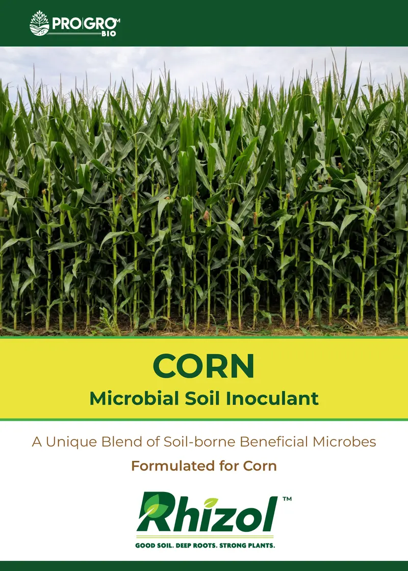 Rhizol Corn - Dissolvable Microbial Soil Inoculant 1