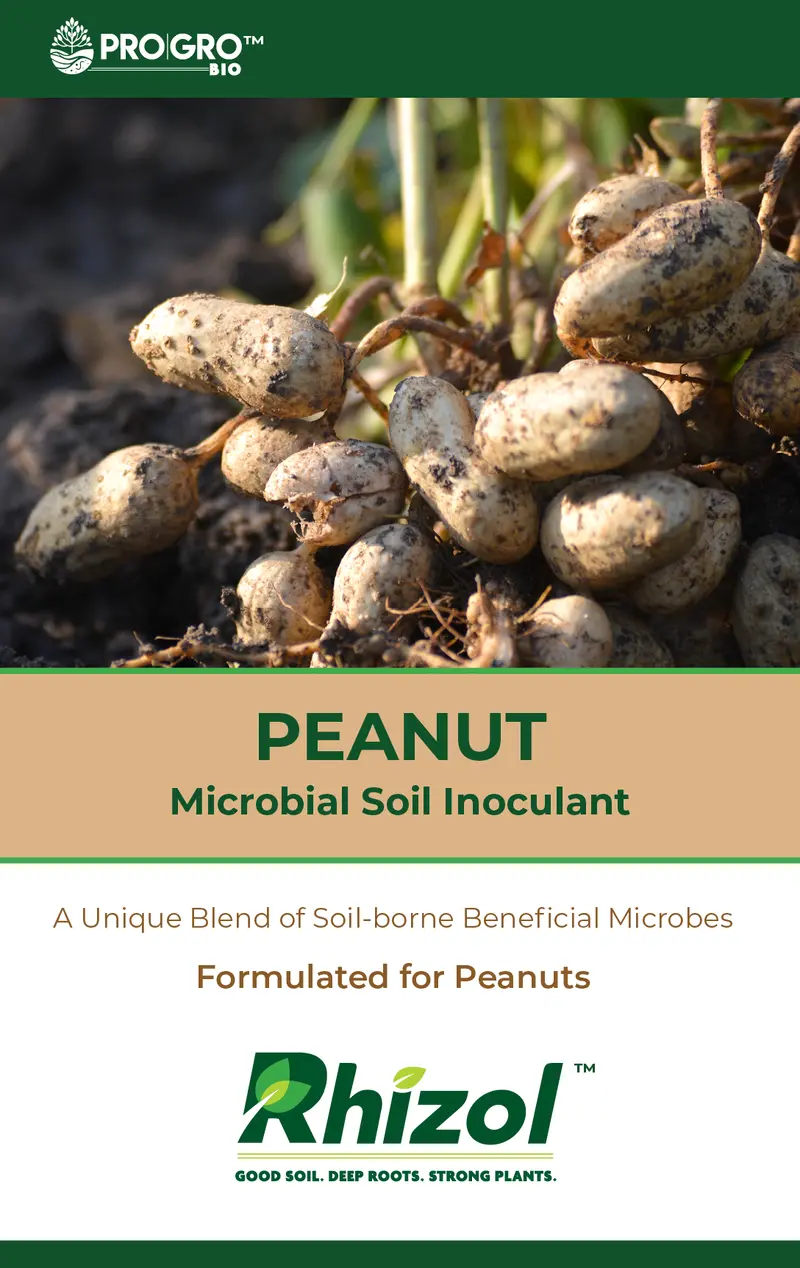 Rhizol Peanut - Dissolvable Microbial Soil Inoculant 1