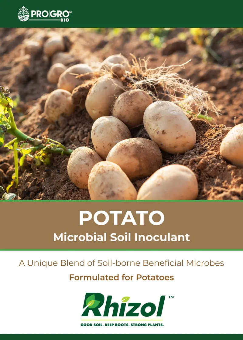 Rhizol Potato - Dissolvable Microbial Soil Inoculant 1