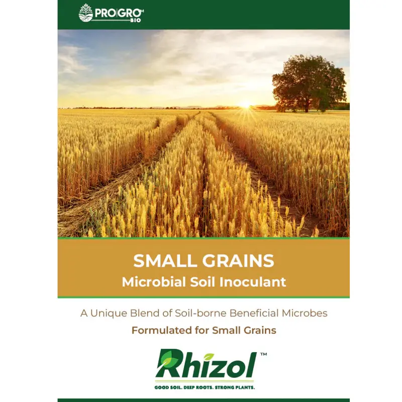Rhizol Small Grains - Dissolvable Microbial Soil Inoculant 1