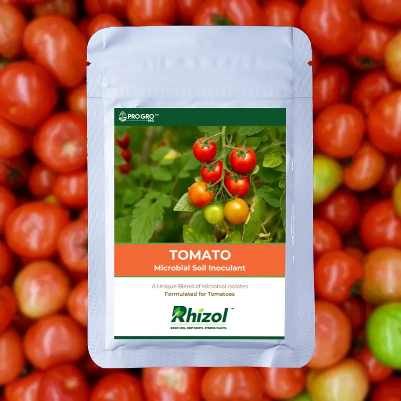 Rhizol Tomato - Dissolvable Microbial Soil Inoculant 1