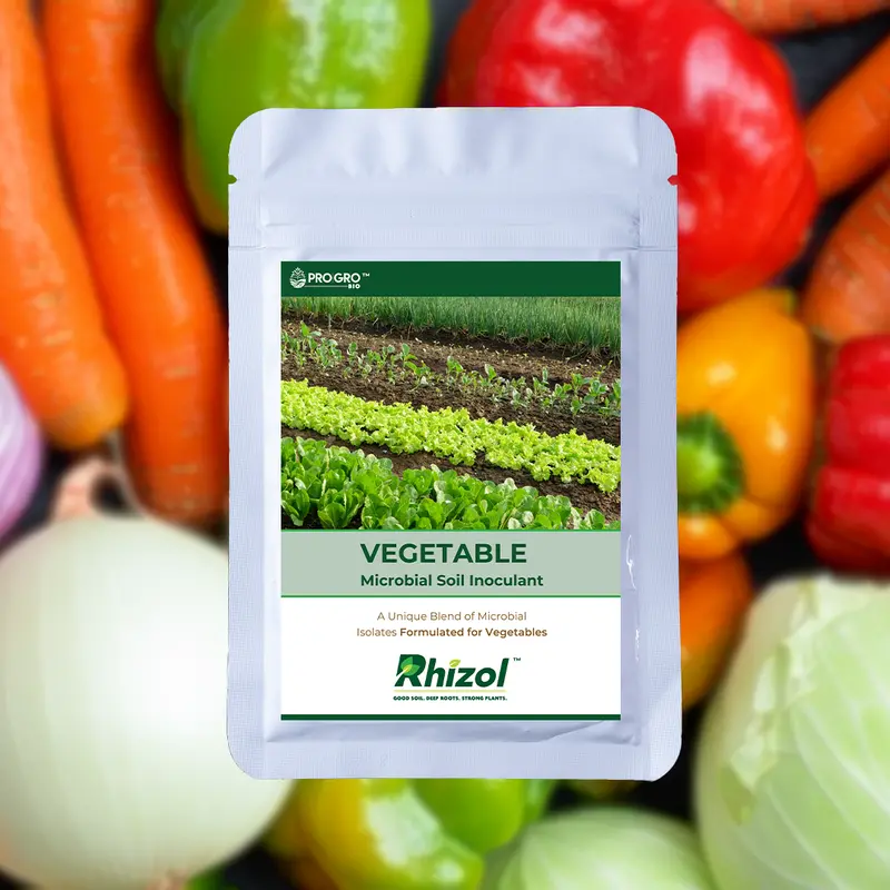 Rhizol Vegetable - Dissolvable Microbial Soil Inoculent 1