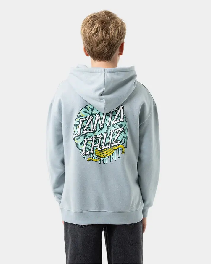 Santa Cruz Brain Dot Centre Boys Hoodie 1