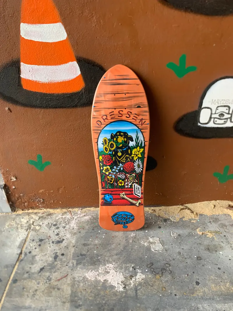 Santa Cruz Dressen Pups 1