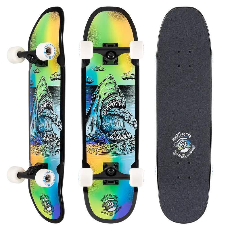 Sector 9 Mason Pro Danger Park Cruiser 1