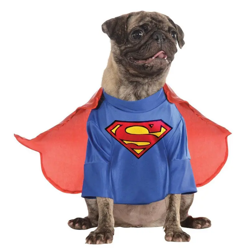 Superman Pet Costume 1