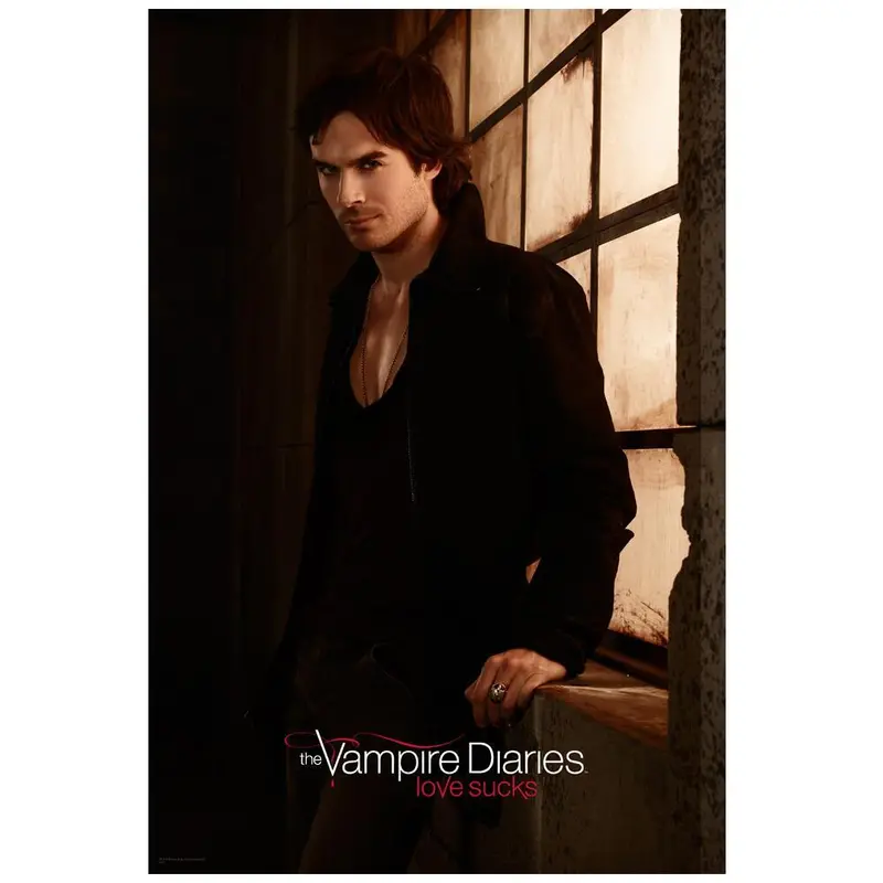 The Vampire Diaries Damon By Window Poster 1