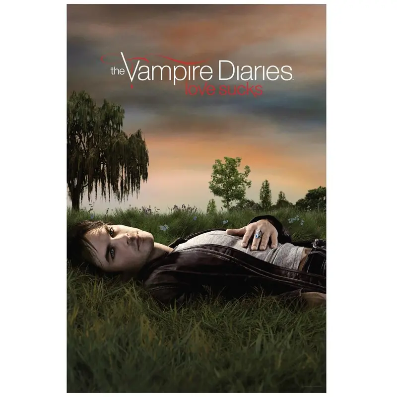 The Vampire Diaries Damon On The Grass Poster 1