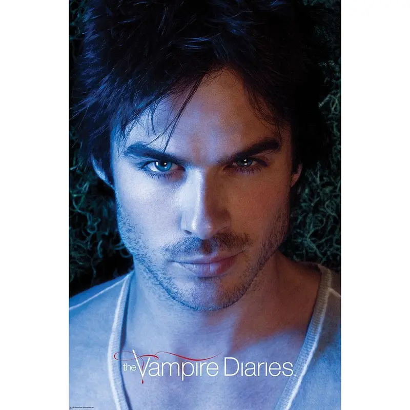 The Vampire Diaries Damon Poster 1