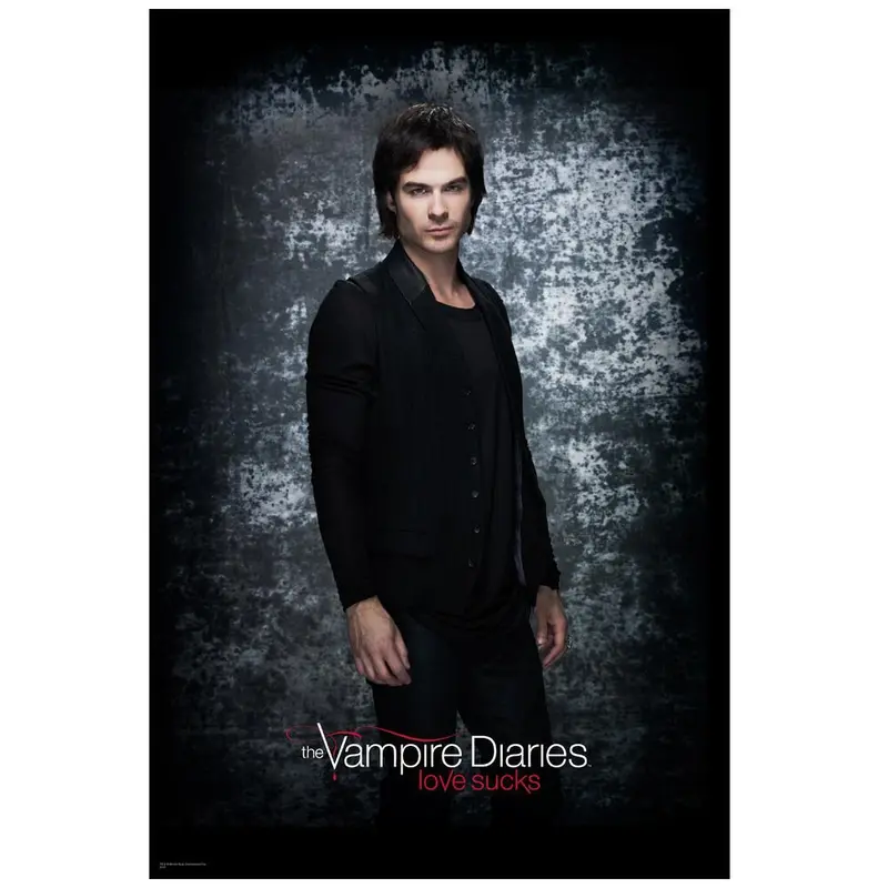 The Vampire Diaries Damon Standing Poster 1