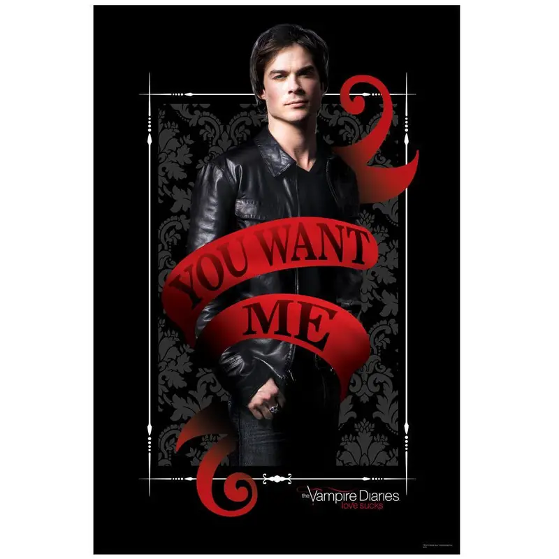 The Vampire Diaries Damon You Want Me Poster 1