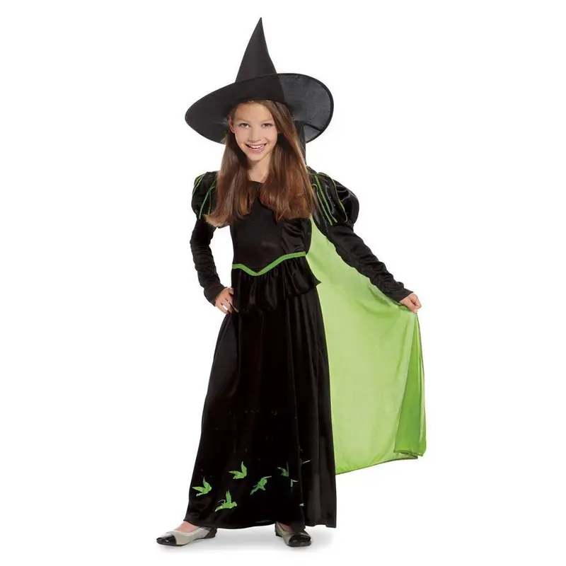 The Wizard Of Oz Wicked Witch Of The West Child Costume 1