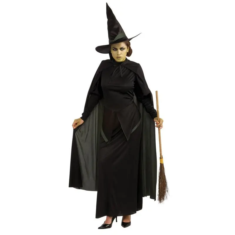 The Wizard Of Oz Wicked Witch Of The West Deluxe Adult Costume 1