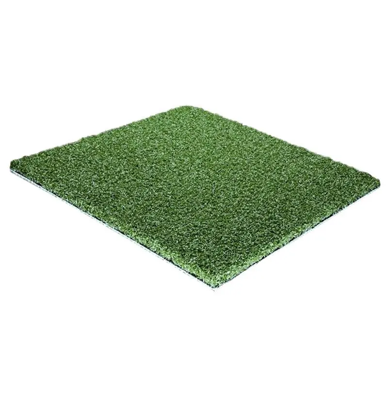 Turf - Pgpn Color 1" Pile Height 1