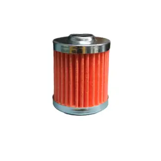 Val6 Fuel Filter Element 1