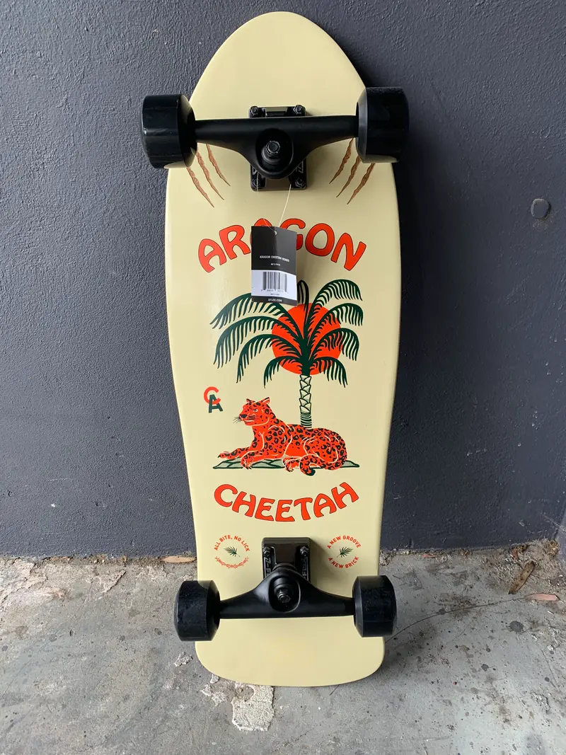 Z Flex Aragon Cruiser 1